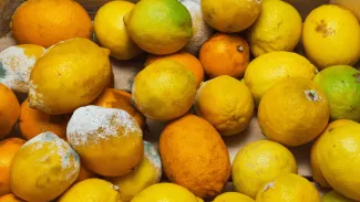 Inšpektori odhalili nedostatky u slovenských predajcov potravín