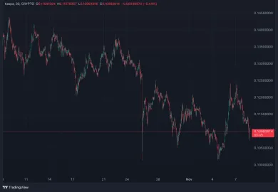 Kaspa zaznamenala za posledný mesiac mierny pokles