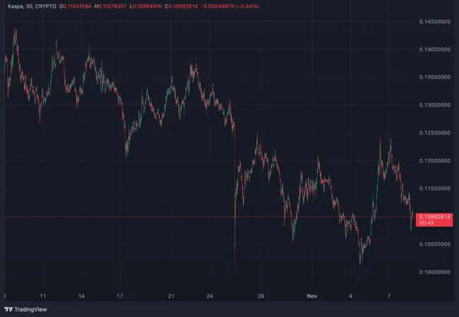 Kaspa zaznamenala za posledný mesiac mierny pokles