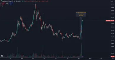 Kryptomena ALGO prudko stúpla