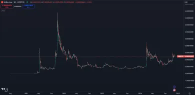 Masívne zhodnotenie kryptomeny Shiba Inu