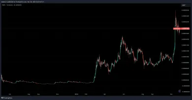 Pepe sa nachádza v korekcii