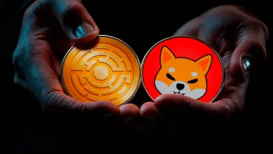 Predpoveď ceny Shiba Inu