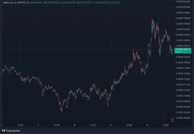 Shiba Inu má našliapnuté na rast
