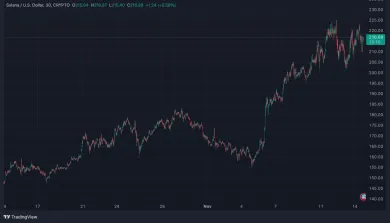 Solana za posledný mesiac porástla