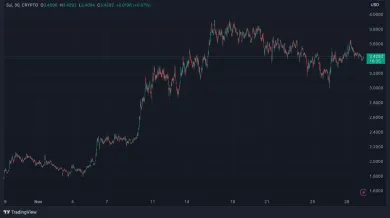 SUI ukazuje silný rastový potenciál