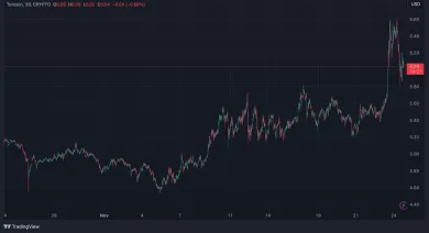 Toncoin za posledný mesiac porástol