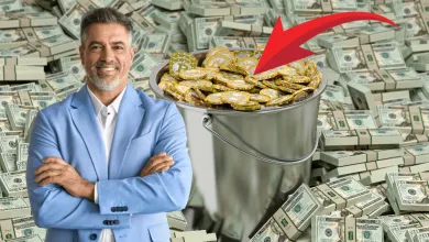 Top 3 kryptomeny na november 2024