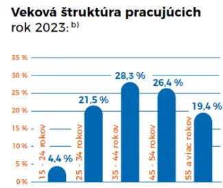 Veková štruktúra pracujúcich