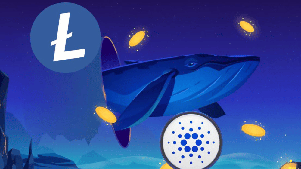 Veľkí investori poznajú toto tajomstvo