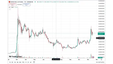 Vzor pohára a rukoväte („cup and handle pattern”) na grafe ceny kryptomeny Shiba Inu