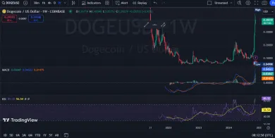 Zaujímavé pohyby DOGE