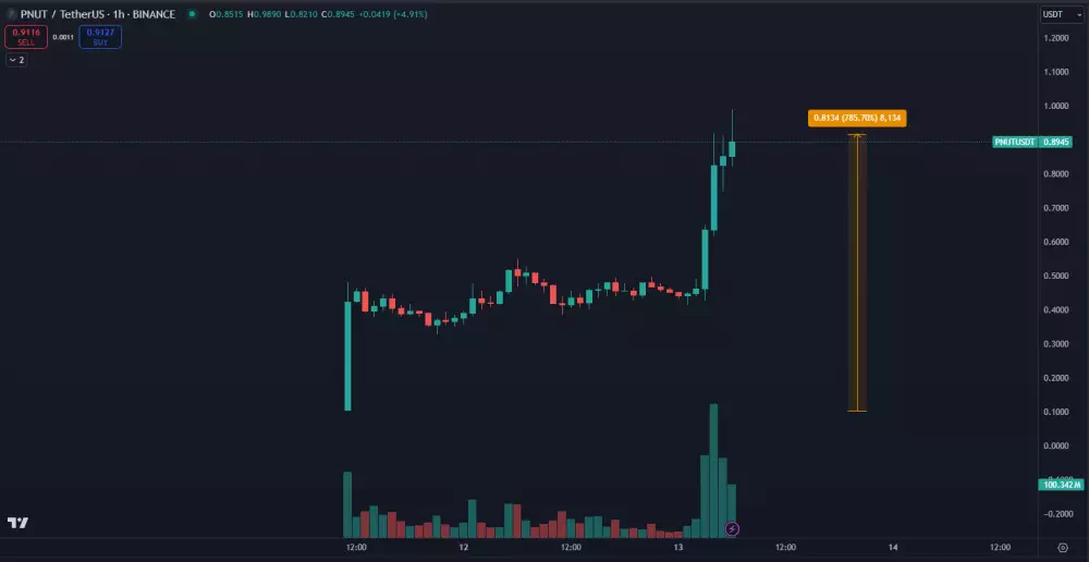 Zhodnotenie PNUT na Binance