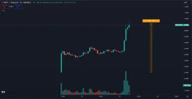 Zhodnotenie PNUT na Binance