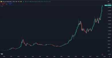 Zlato a jeho dlhodobý cenový rast