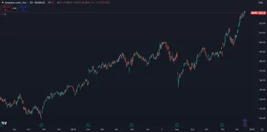 Amazon je jedna z najväčších firiem sveta