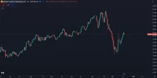 Bitcoin opäť rastie v dominancii