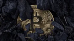 Bitcoin predávajú tzv. hodleri