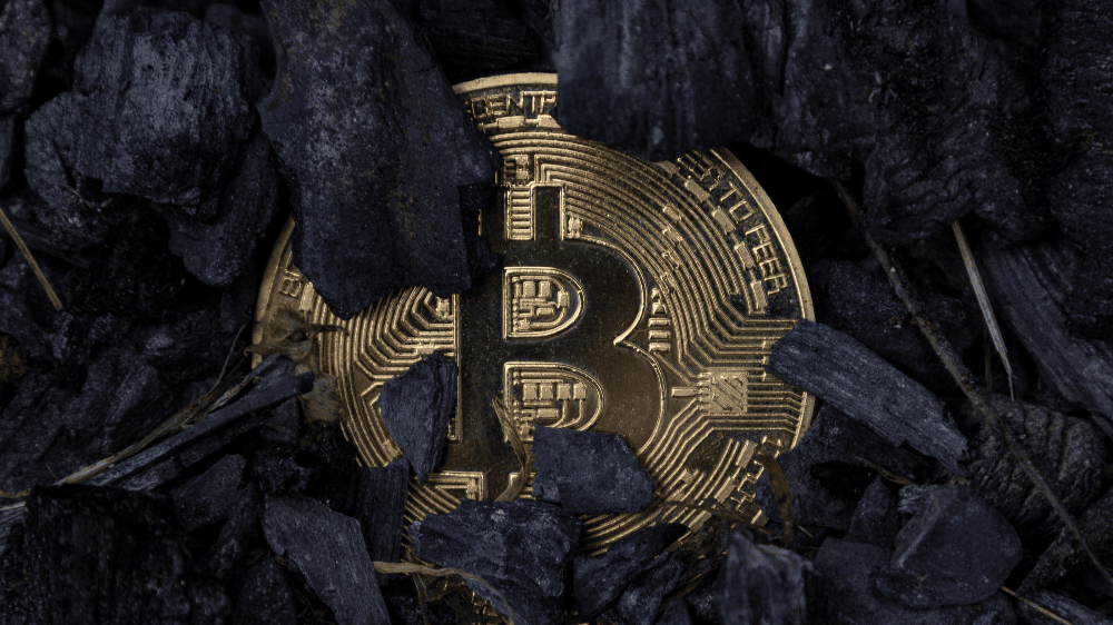 Bitcoin predávajú tzv. hodleri