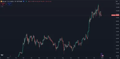 Bitcoin stojí 95 000 dolárov