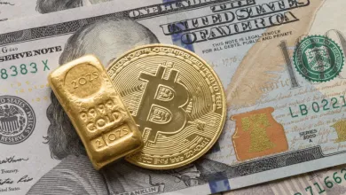 Bitcoinovým ETF sa darí