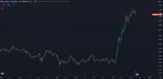 Cardano masívne rastie