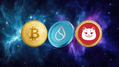 Catzilla ponuka riešenia pre investorov