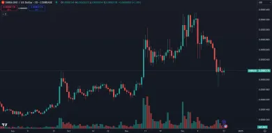 Cena kryptomeny SHIB