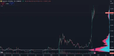 Doge je najväčší meme coin