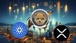 DOGE očakáva zisky. Zdroj: DOGEN