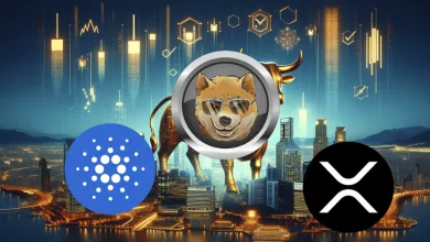 DOGE očakáva zisky. Zdroj: DOGEN