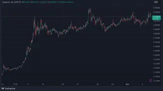 DOGE svojich držiteľov nesklamal