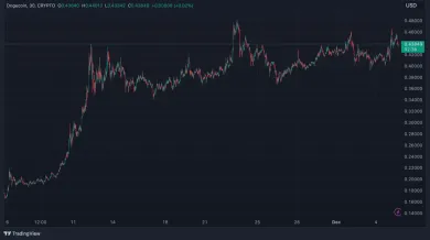 DOGE svojich držiteľov nesklamal