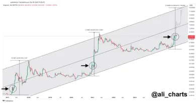 Dogecoin analýza od Ali Charts