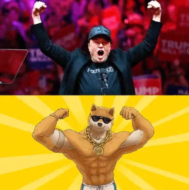 Dogen a podpora Elona Muska