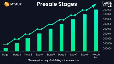 Fázy predpredaja projektu