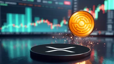 Investori sa začínajú sústrediť na Minotaurus