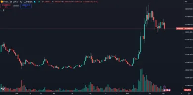 Kryptomena BONK rastie