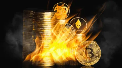 Kryptomeny s potenciálom rastu