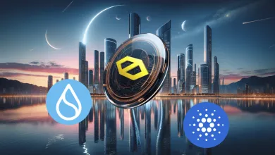 Kryptomeny s vysokým potenciálom rastu