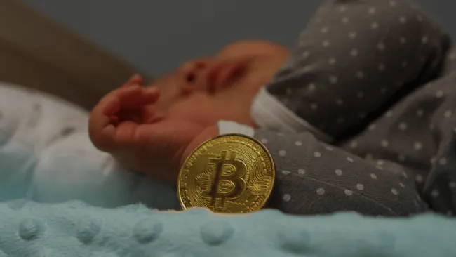 Kryptomeny zažívajú silnú adopciu