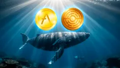 Minoturus dominuje na trhu