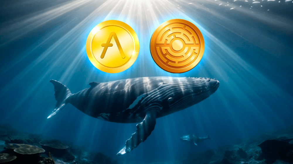 Minoturus dominuje na trhu