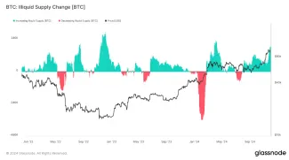 Nelikvidná zásoba Bitcoinu