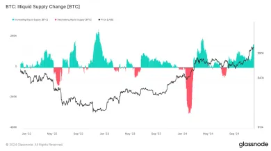 Nelikvidná zásoba Bitcoinu