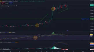 Pohľad na vývoj DOGE