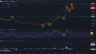 Pohľad na vývoj SUI