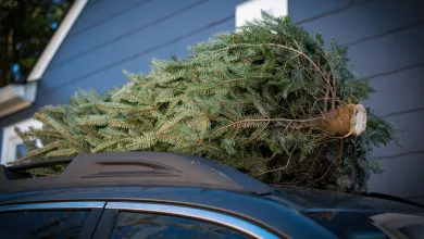 Pozor na správne prevážanie stromčeka