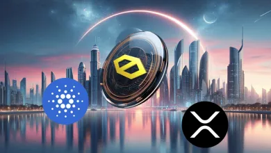 Predpredaj CYBRO bol veľmi úspešný