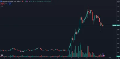 Prudký rast kryptomeny ADA